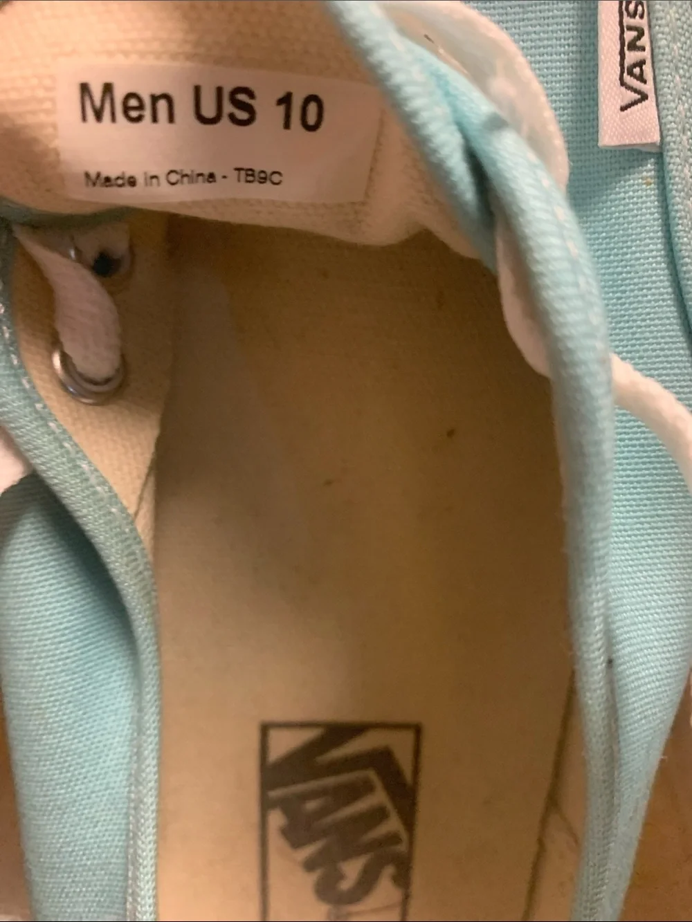 Vans Low-Top Sneakers in Aqua Blue with White Laces